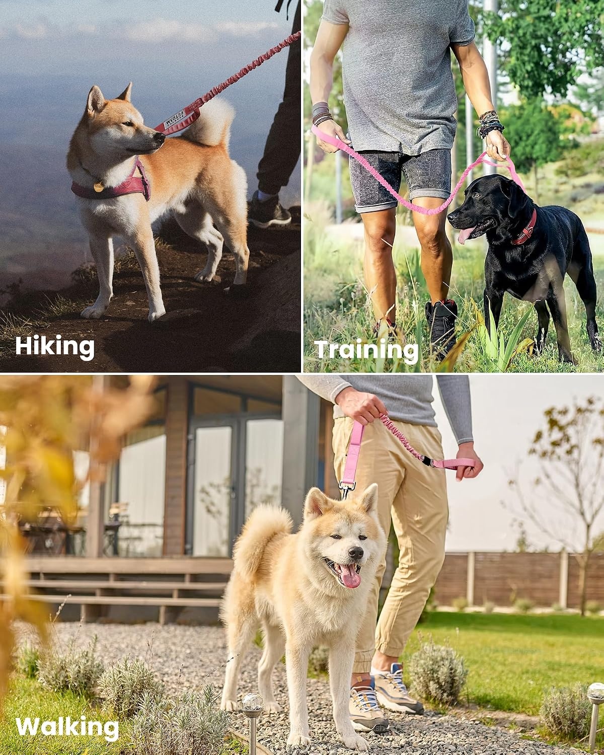 image:imageOutdoorMaster Bungee Dog Leash Heavy Duty Dog Leash with Shock Absorption 2 Padded Handles Training Leash Improved Dog Safety and Comfort Blue Upgraded 6 FTPink
