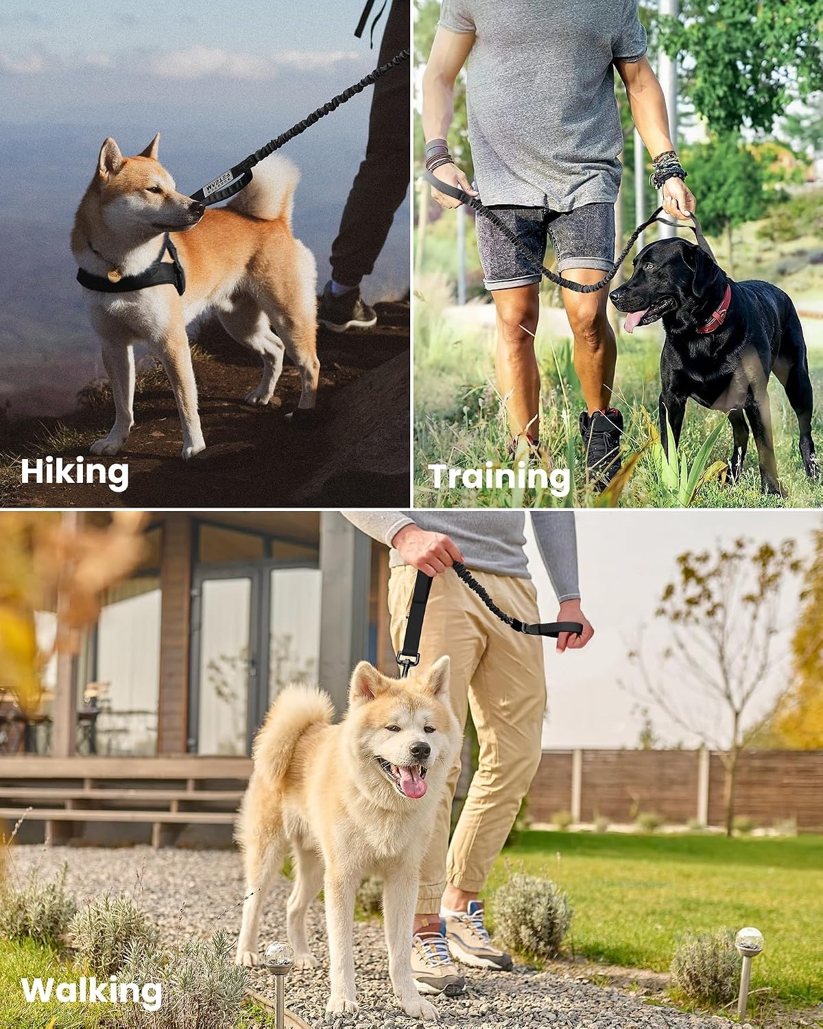 image:imageOutdoorMaster Bungee Dog Leash Heavy Duty Dog Leash with Shock Absorption 2 Padded Handles Training Leash Improved Dog Safety and Comfort Blue Upgraded 6 FTBlack