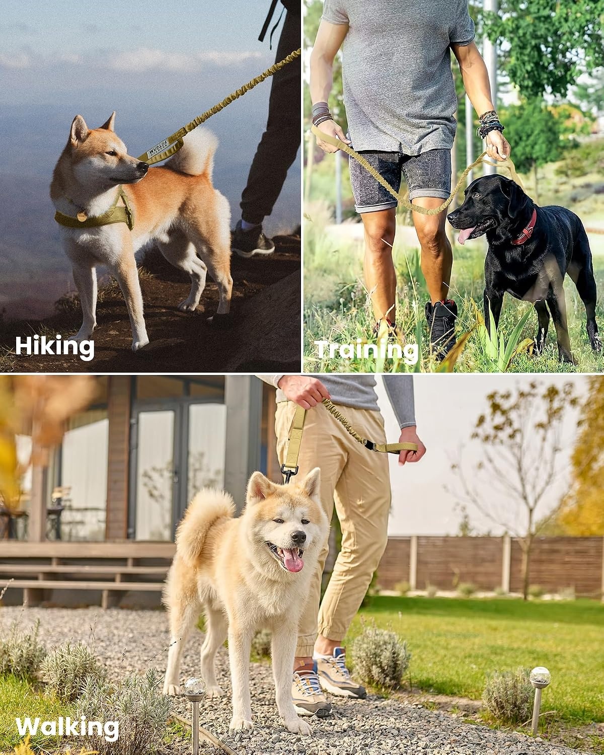 image:imageOutdoorMaster Bungee Dog Leash Heavy Duty Dog Leash with Shock Absorption 2 Padded Handles Training Leash Improved Dog Safety and Comfort Blue Upgraded 6 FTKhakiTan
