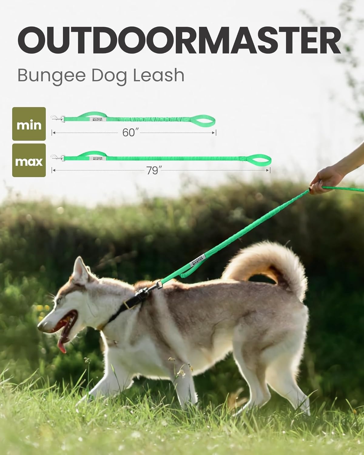 image:imageOutdoorMaster Bungee Dog Leash Heavy Duty Dog Leash with Shock Absorption 2 Padded Handles Training Leash Improved Dog Safety and Comfort Blue Upgraded 6 FTMint Green