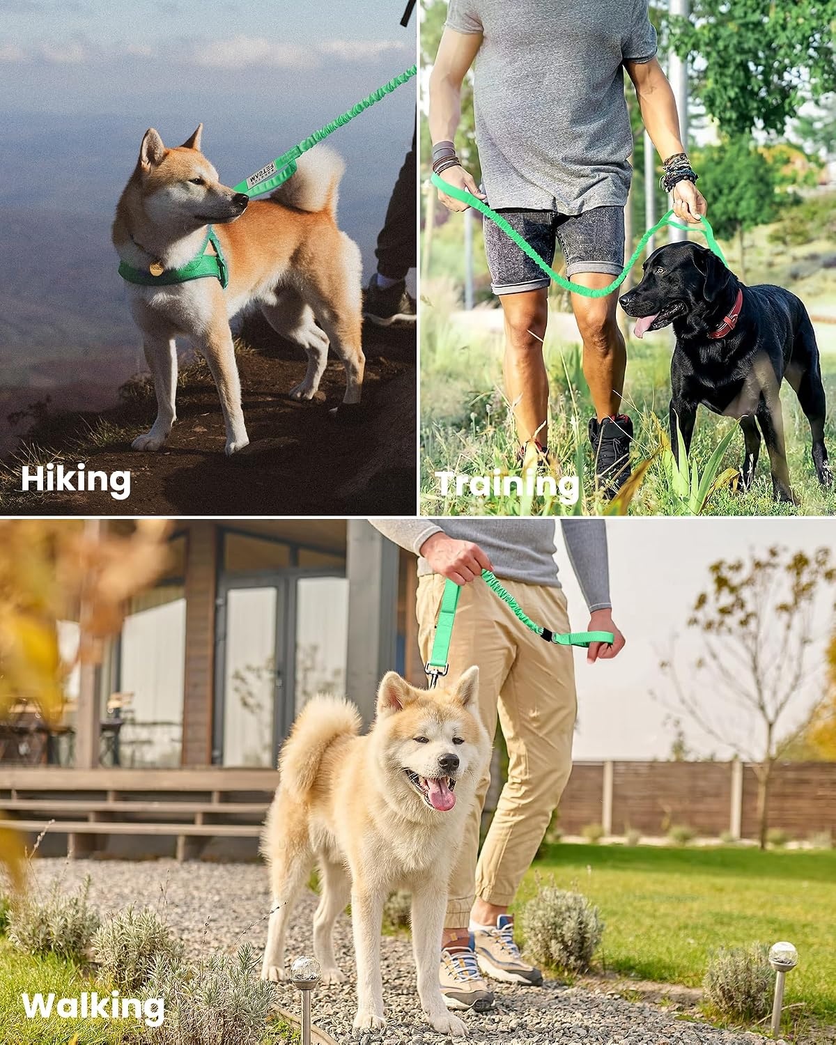 image:imageOutdoorMaster Bungee Dog Leash Heavy Duty Dog Leash with Shock Absorption 2 Padded Handles Training Leash Improved Dog Safety and Comfort Blue Upgraded 6 FTMint Green