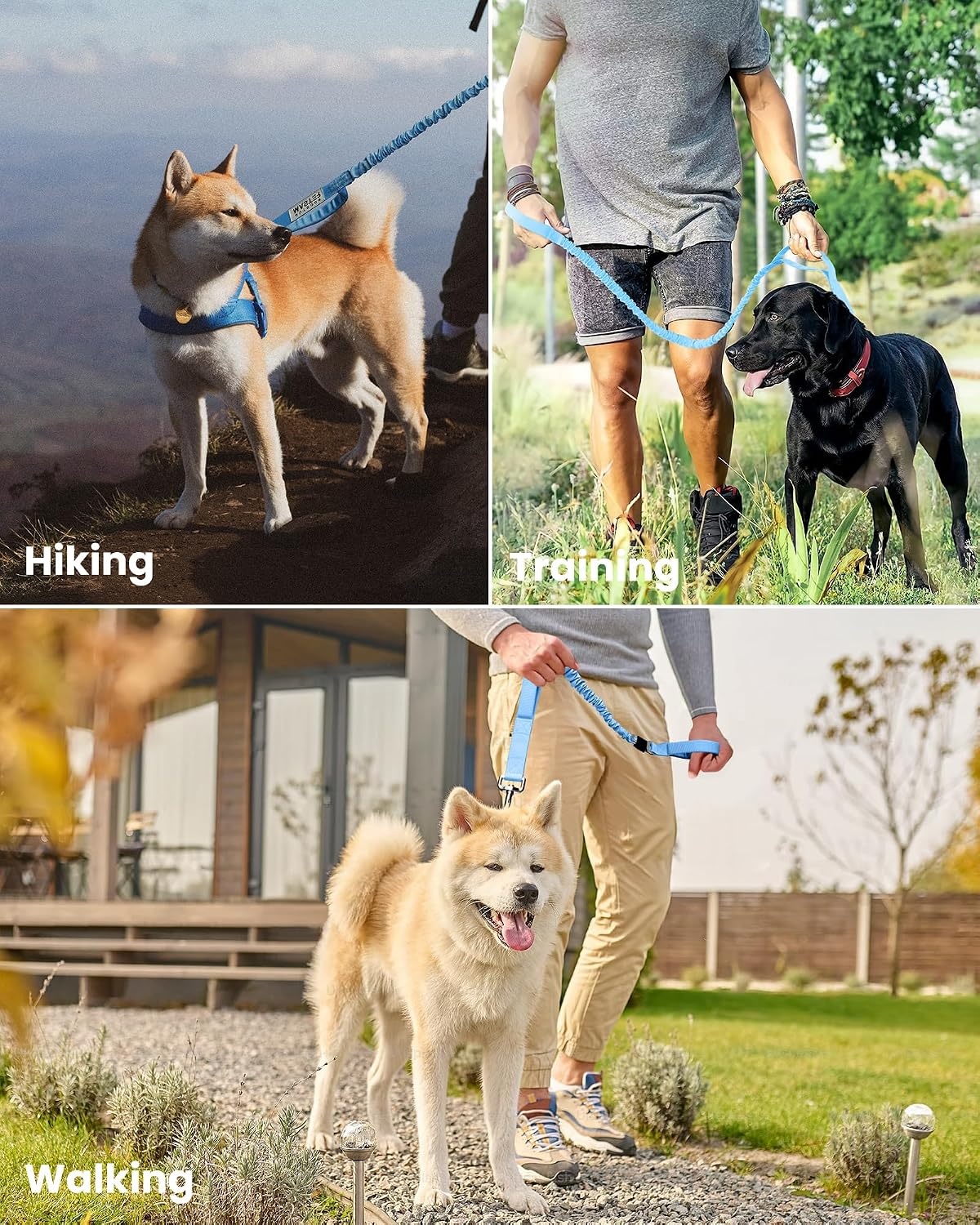 image:imageOutdoorMaster Bungee Dog Leash Heavy Duty Dog Leash with Shock Absorption 2 Padded Handles Training Leash Improved Dog Safety and Comfort Blue Upgraded 6 FTBlue