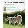 OutdoorMaster Bungee Dog Leash, Heavy Duty Dog Leash with Shock Absorption, 2 Padded Handles Training Leash, Improved Dog Safety and Comfort – Blue Upgraded, 6 FT(Mint Green)